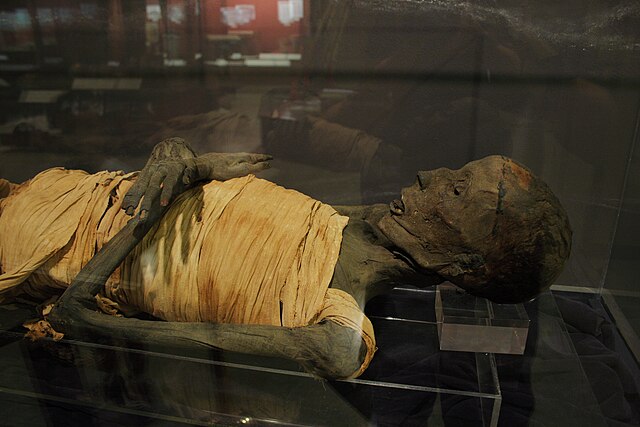 weird facts about mummies